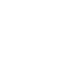 morning life